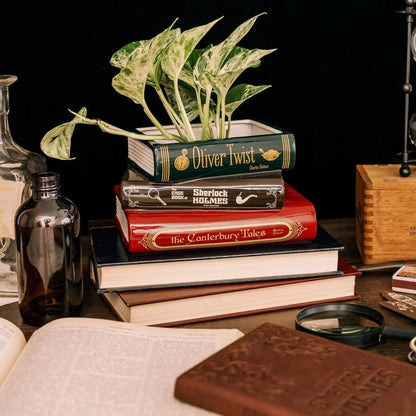 Steel Mill & Co Sherlock stacked book planter styled with a houseplant, books and literary desk decor